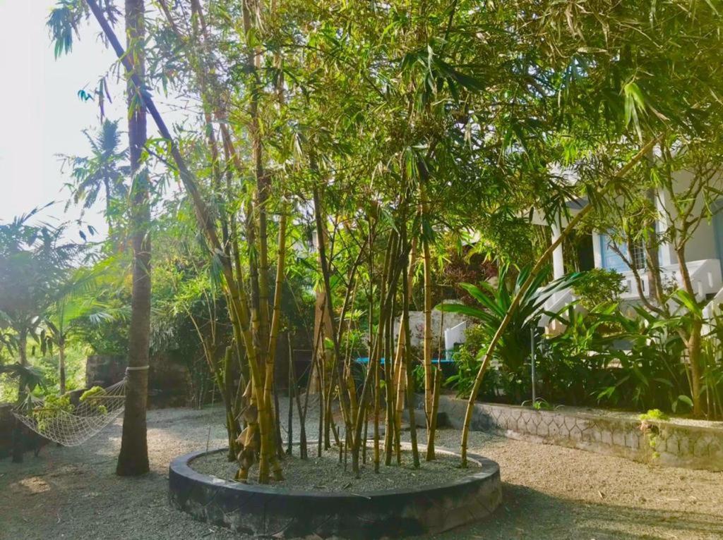Petit Ana Beach Retreat Varkala Εξωτερικό φωτογραφία